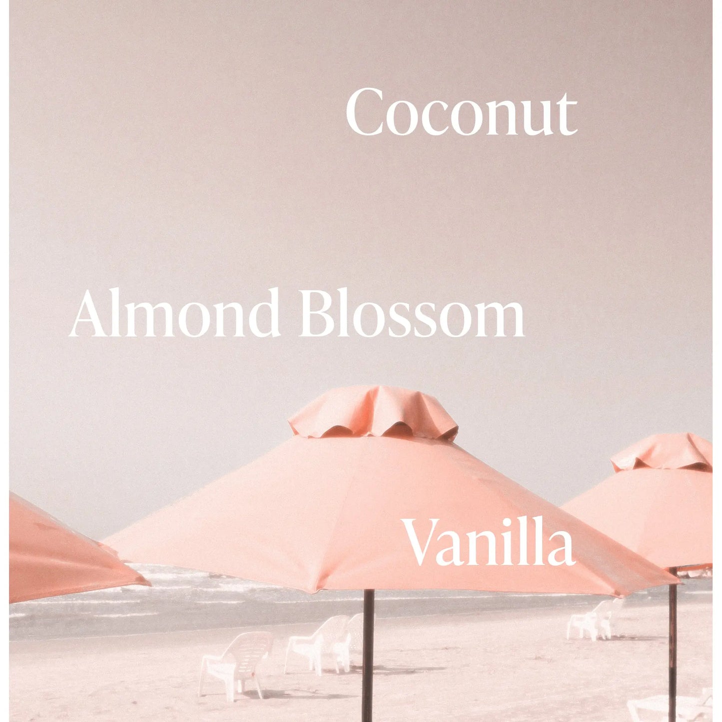 Pink Beach Body Lotion – Nourishing Lotion with Coconut Oil, Murumuru Seed Butter & Allantoin